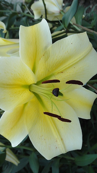 DSC00295.JPG