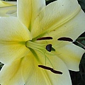 DSC00295.JPG