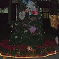 CIMG2001
