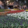 DSC00298.JPG