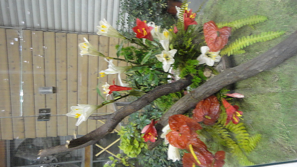 DSC00367.JPG