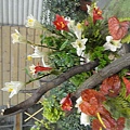 DSC00367.JPG