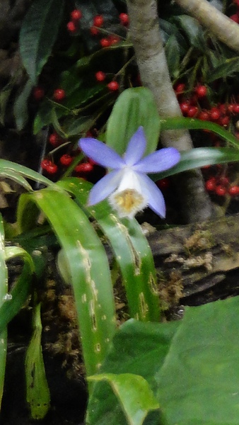 DSC00381.JPG