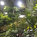 DSC00351.JPG