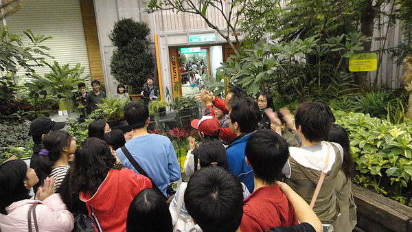 DSC00350.JPG