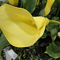 DSC00398.JPG