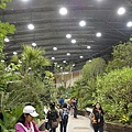 DSC00348.JPG
