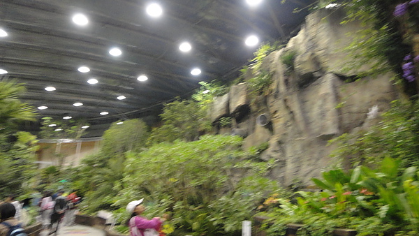 DSC00346.JPG