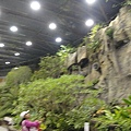 DSC00346.JPG