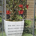 DSC00363.JPG