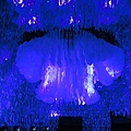 DSC00320.JPG