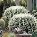 DSC00372.JPG