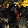 DSC00311.JPG
