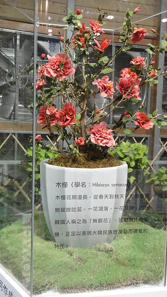 DSC00361.JPG