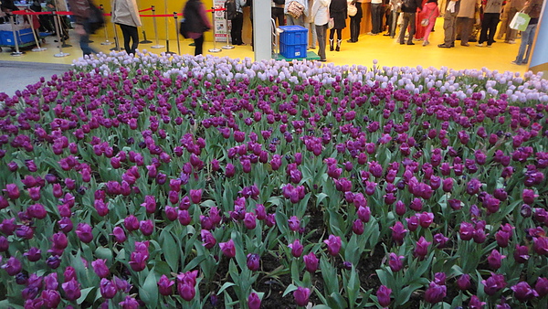 DSC00303.JPG