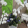 DSC00400.JPG