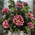 DSC00359.JPG