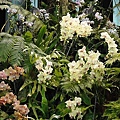 DSC00406.JPG