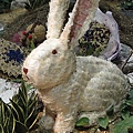 DSC00354.JPG