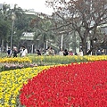 DSC00288.JPG