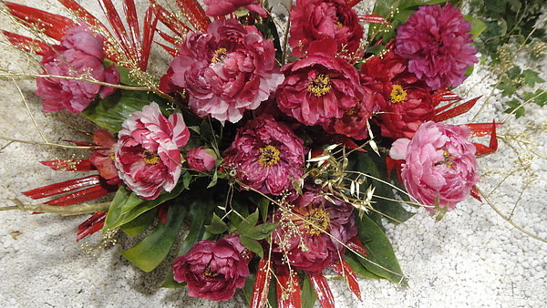 DSC00393.JPG