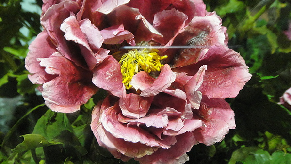 DSC00358.JPG