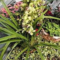 DSC00384.JPG
