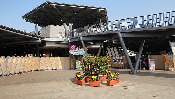 DSC00174.JPG
