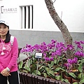 DSC00274.JPG