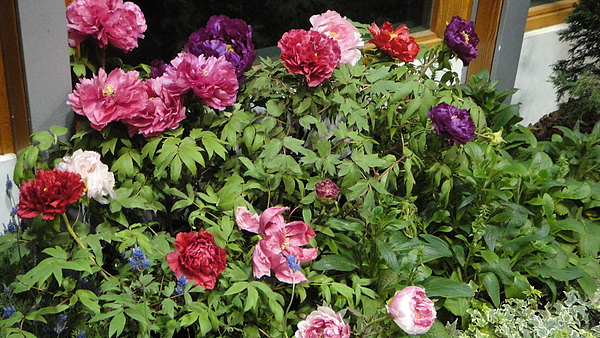 DSC00374.JPG