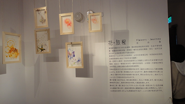 DSC00272.JPG