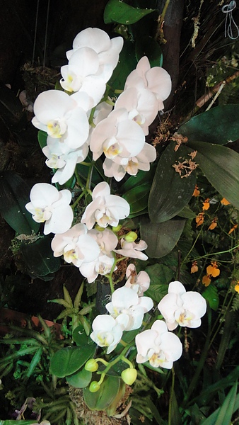 DSC00404.JPG