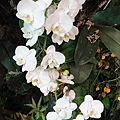DSC00404.JPG