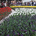 DSC00299.JPG