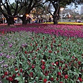 DSC00305.JPG