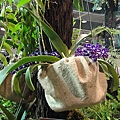 DSC00409.JPG