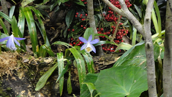 DSC00380.JPG