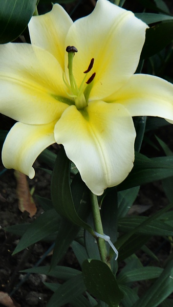 DSC00293.JPG