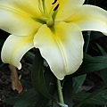 DSC00293.JPG