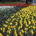 DSC00302.JPG