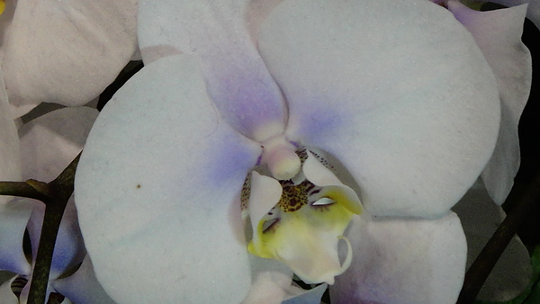 DSC00408.JPG