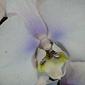 DSC00408.JPG