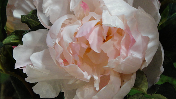 DSC00357.JPG