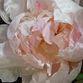 DSC00357.JPG