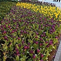 DSC00296.JPG