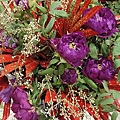 DSC00386.JPG