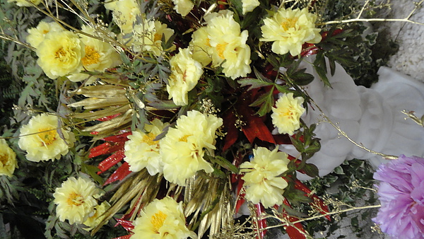 DSC00395.JPG