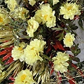 DSC00395.JPG