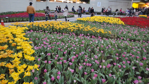 DSC00306.JPG
