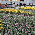 DSC00306.JPG